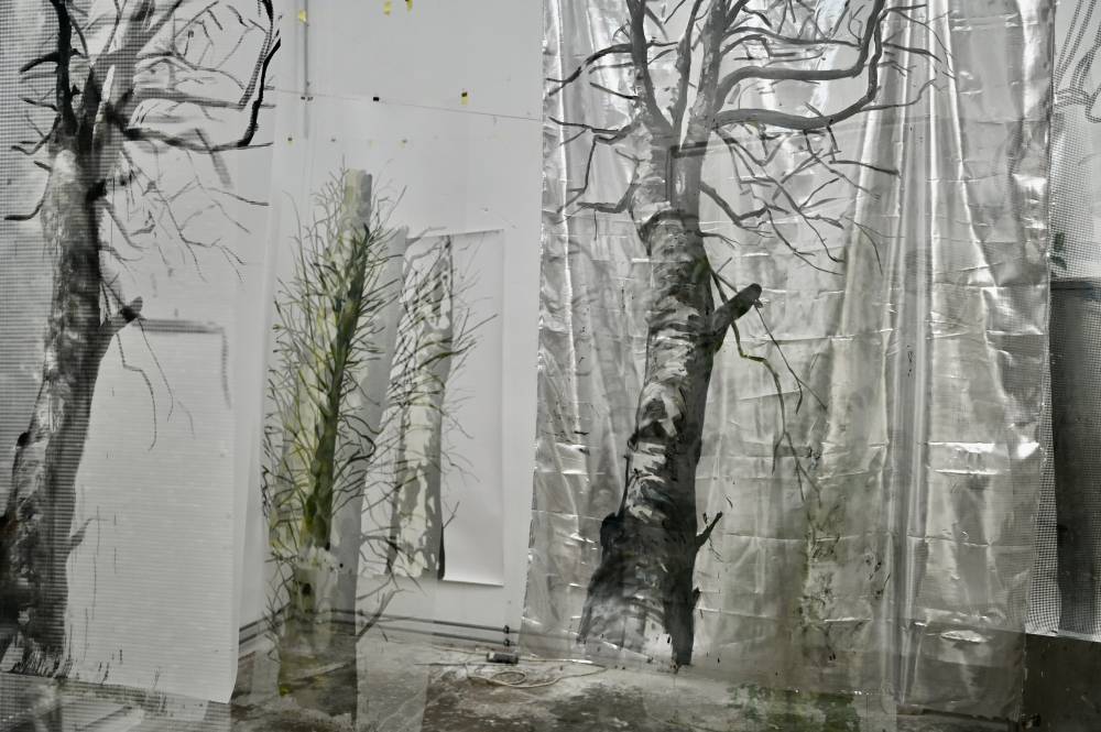 trees